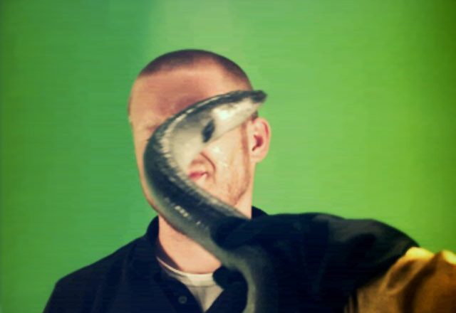 Exploring The Intriguing World Of Eel Slap: A Complete Guide