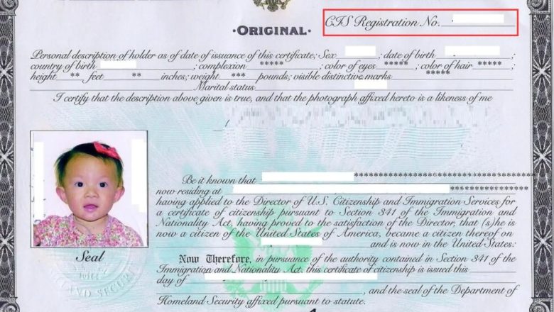 Maximize Your Citizenship Process With N-600 Insights