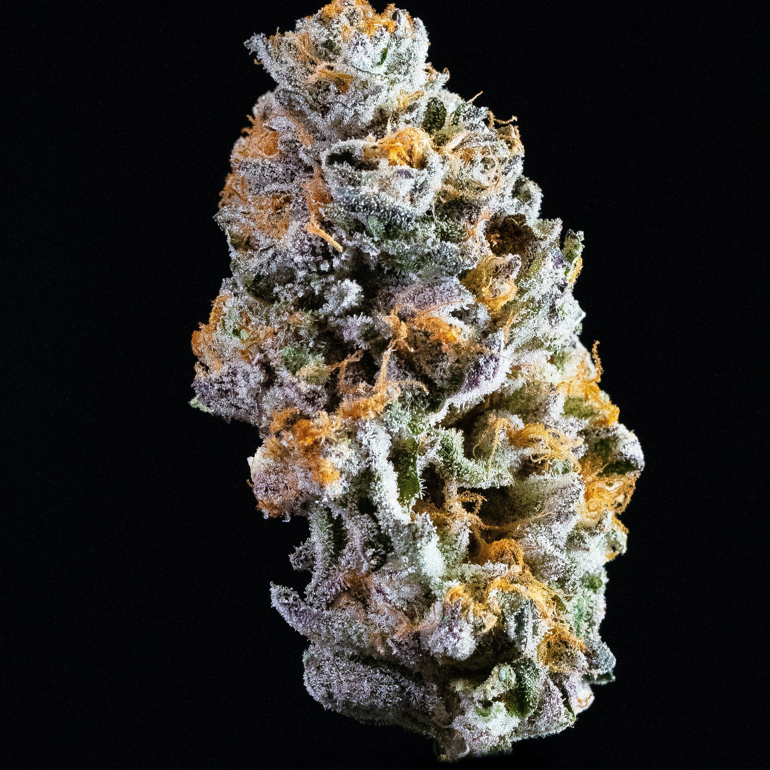 The strongest THC Gummies: High-Efficiency Foods You need to Is