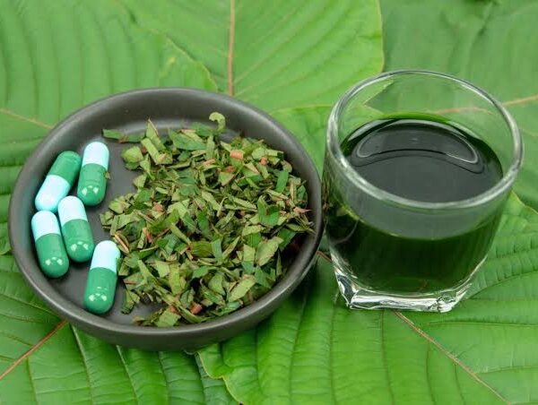 Kratom Market: Regulation, Demand, and What Brands Need to Know